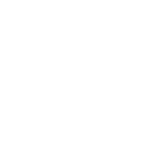 logo_spirit_black